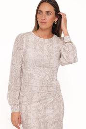 Clemens Mesh Maxi Dress - Snake Print