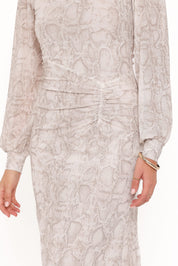 Clemens Mesh Maxi Dress - Snake Print