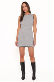 Damon Mini Dress - Grey