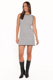 Damon Mini Dress - Grey