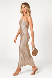 Liza Pleated Maxi Dress - Gold